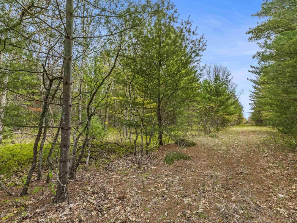 Maple Avenue Dickson Township, MI 49619