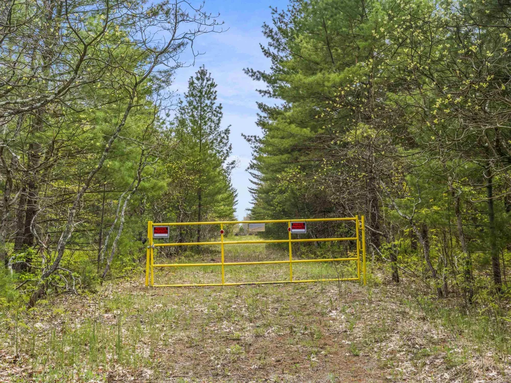 Maple Avenue Dickson Township, MI 49619