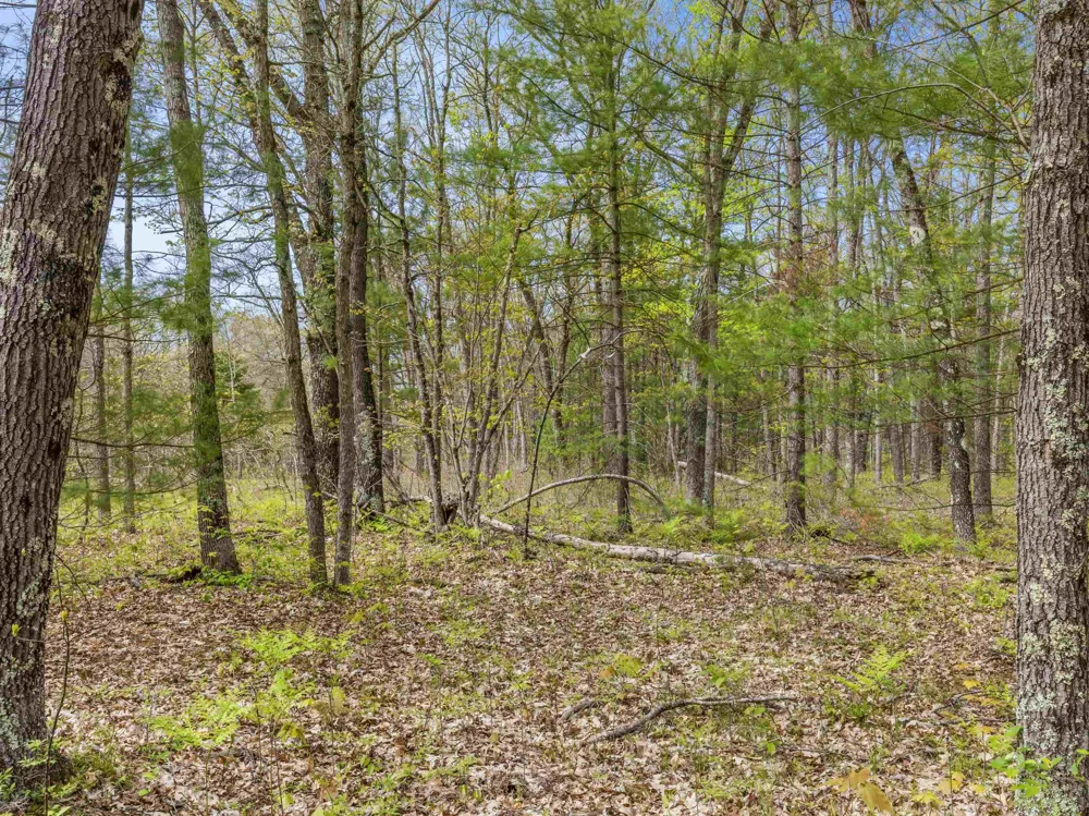 Maple Avenue Dickson Township, MI 49619