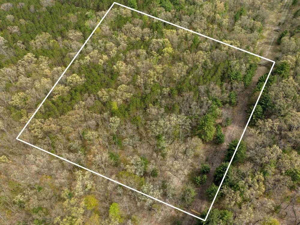 Maple Avenue Dickson Township, MI 49619