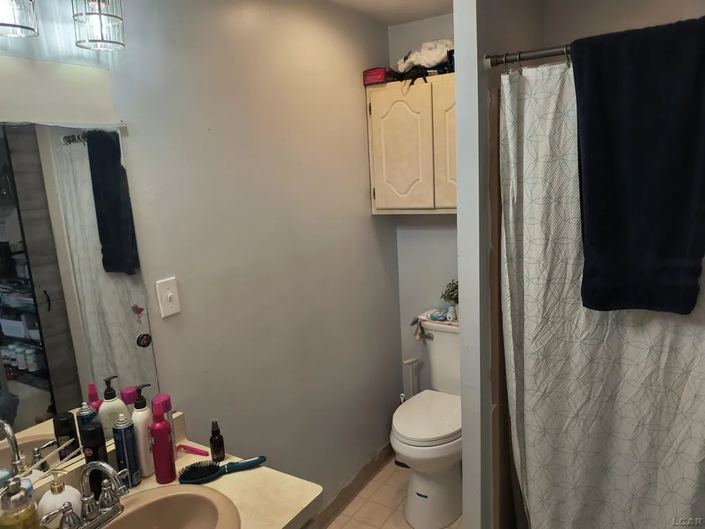 121 S King Street Brooklyn Village, MI 49230