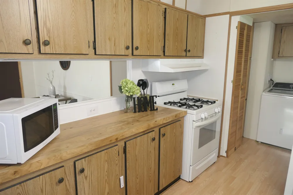 6264 Wildwood Drive Seville Township, MI 48832