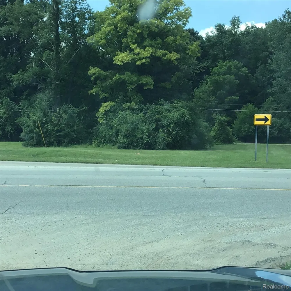 Waynecourse Romulus City, MI 48174