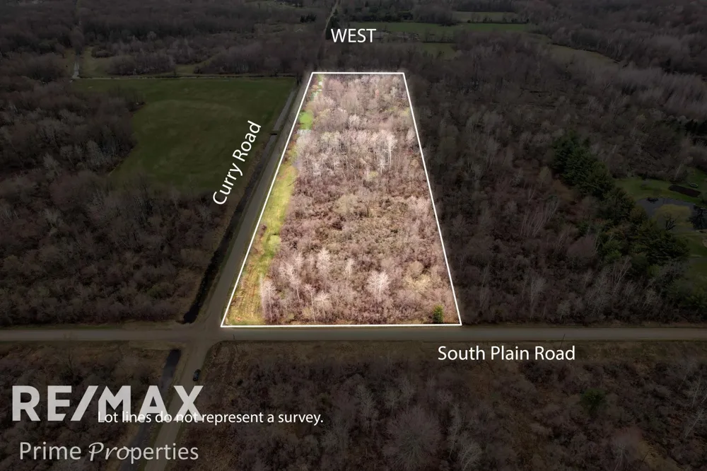 S Plain & Curry Road Wells Township, MI 48723