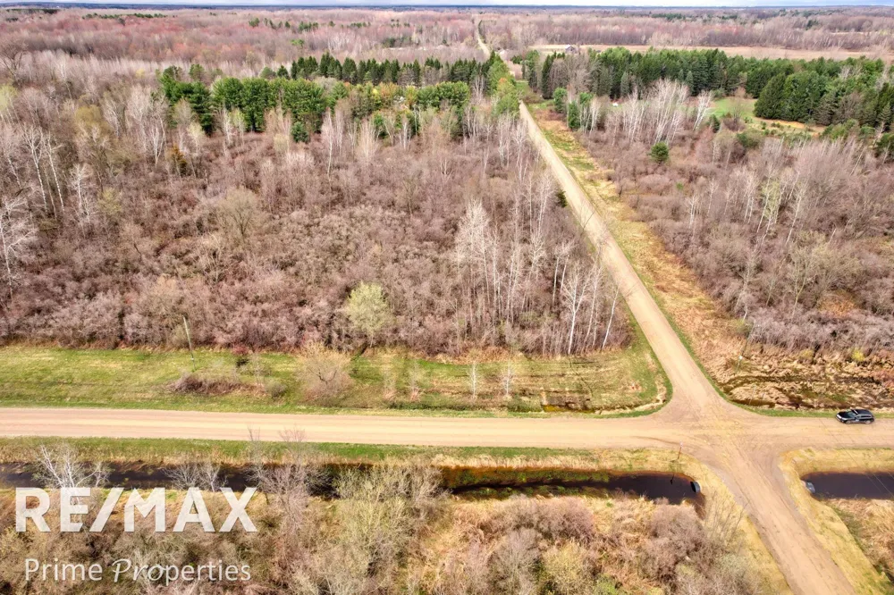 S Plain & Curry Road Wells Township, MI 48723