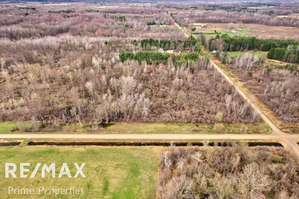 S Plain & Curry Road Wells Township, MI 48723