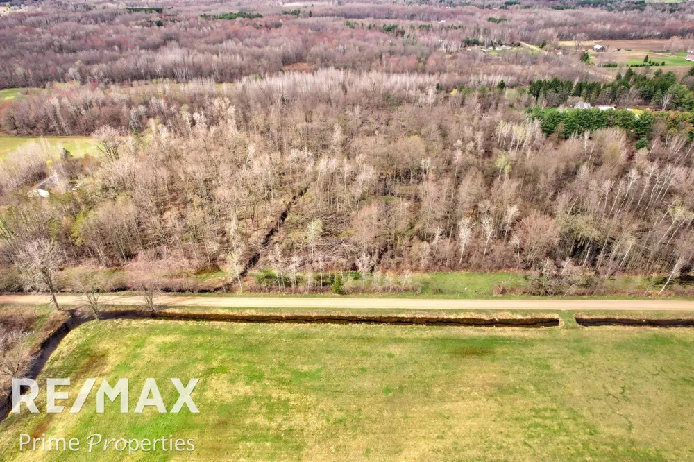 S Plain & Curry Road Wells Township, MI 48723