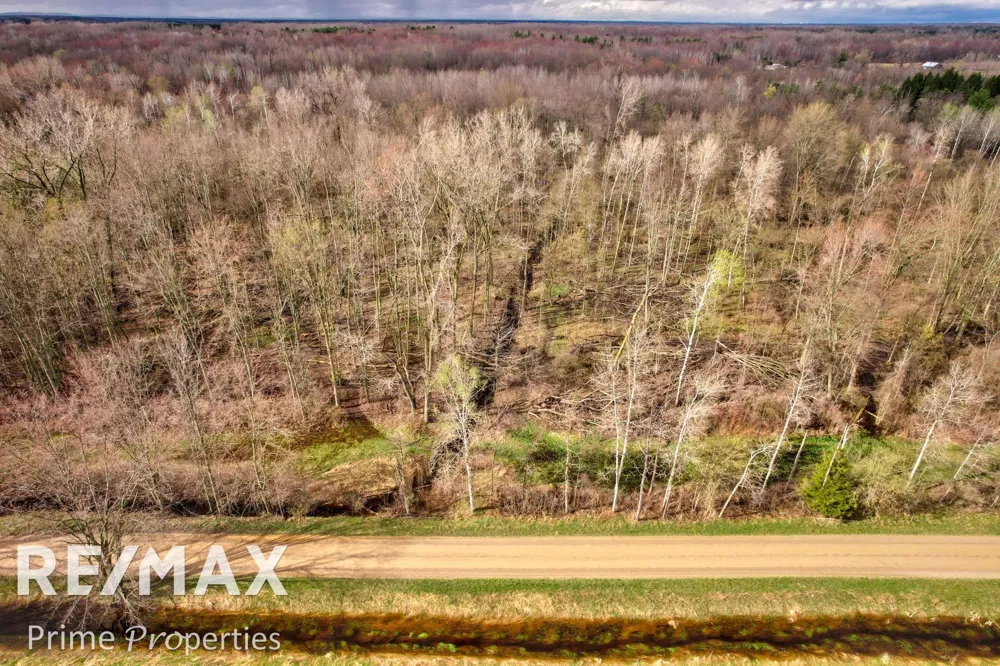 S Plain & Curry Road Wells Township, MI 48723