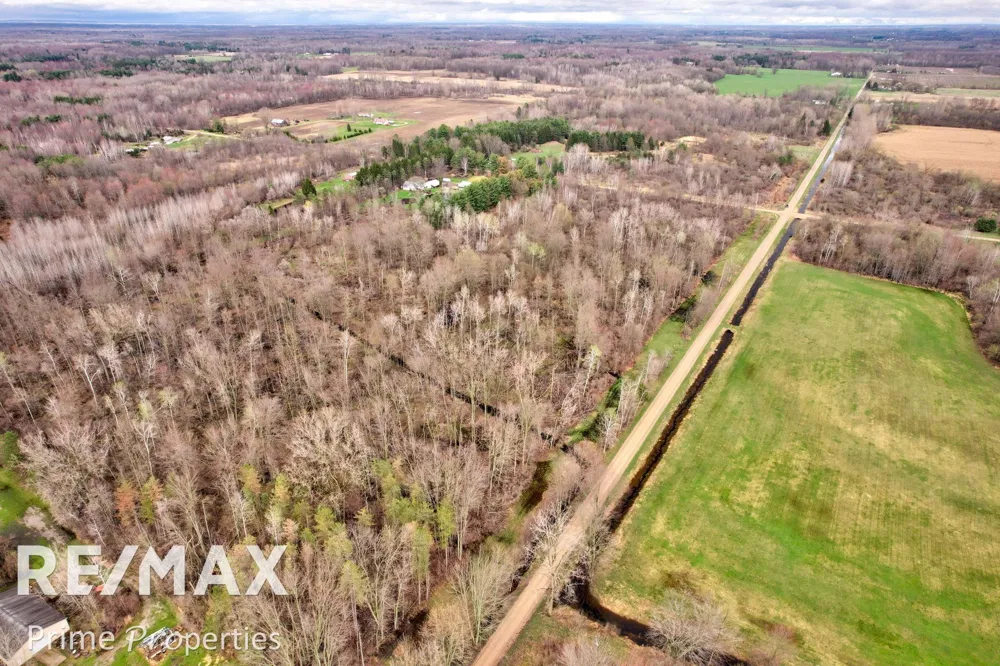 S Plain & Curry Road Wells Township, MI 48723