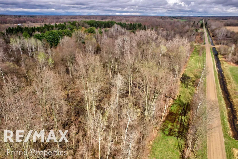 S Plain & Curry Road Wells Township, MI 48723