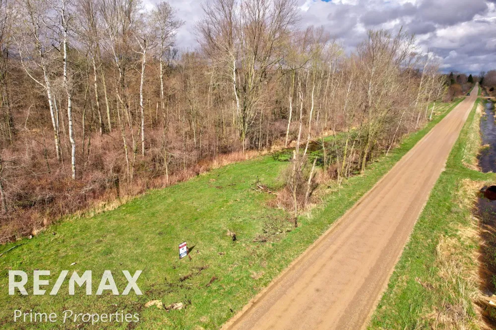 S Plain & Curry Road Wells Township, MI 48723