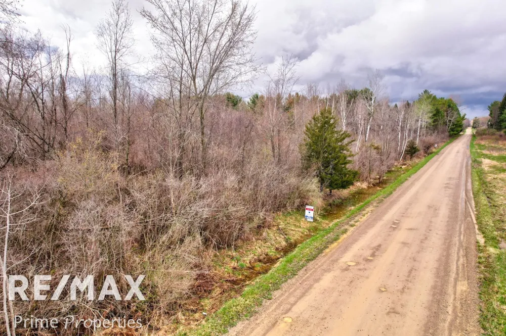 S Plain & Curry Road Wells Township, MI 48723