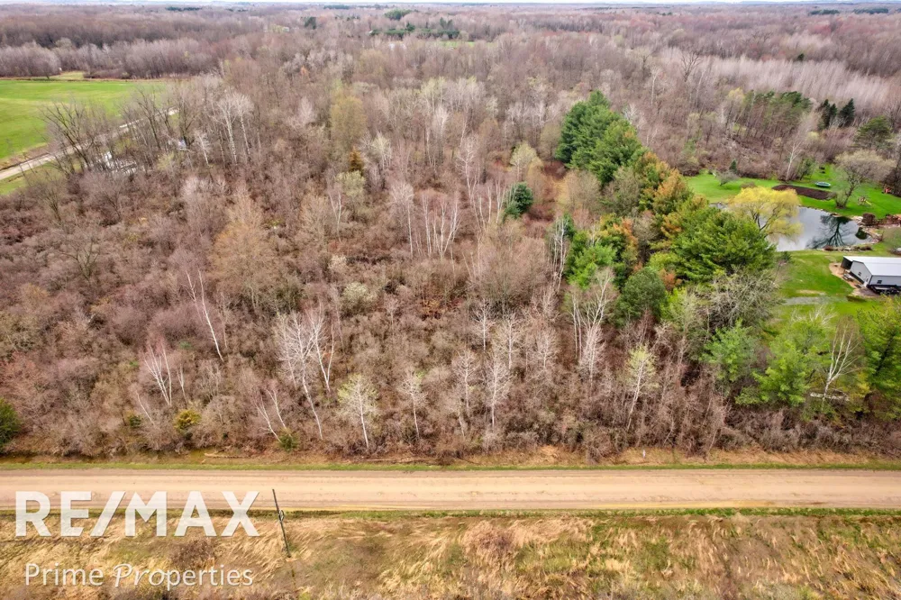 S Plain Road Wells Township, MI 48723
