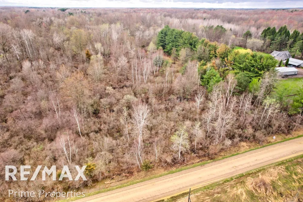 S Plain Road Wells Township, MI 48723