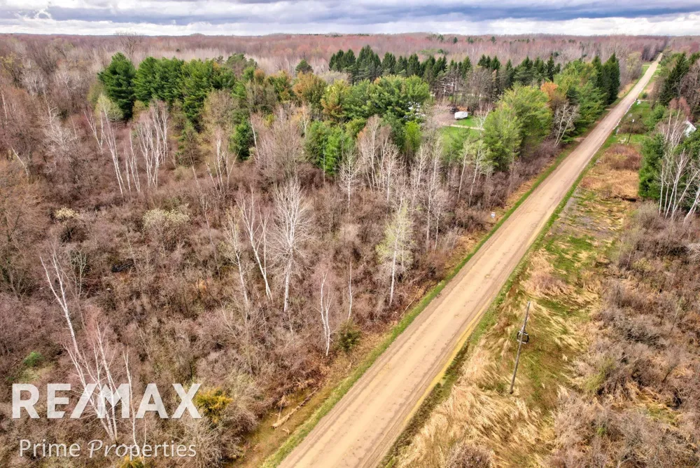 S Plain Road Wells Township, MI 48723