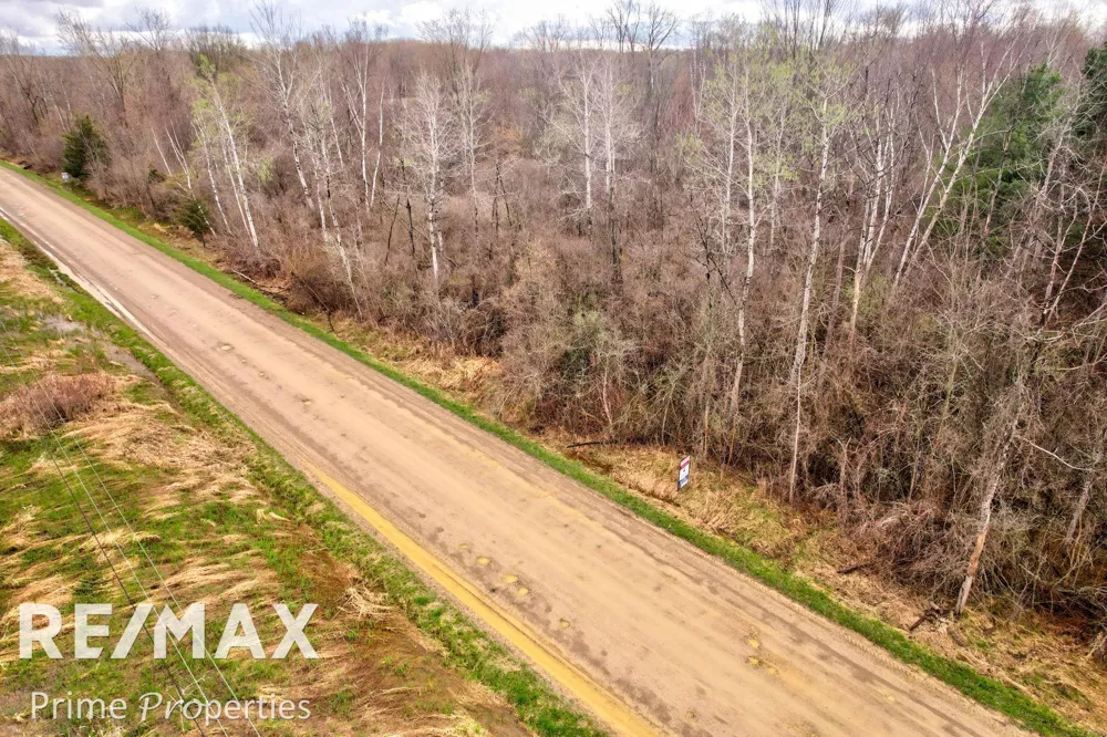 S Plain Road Wells Township, MI 48723