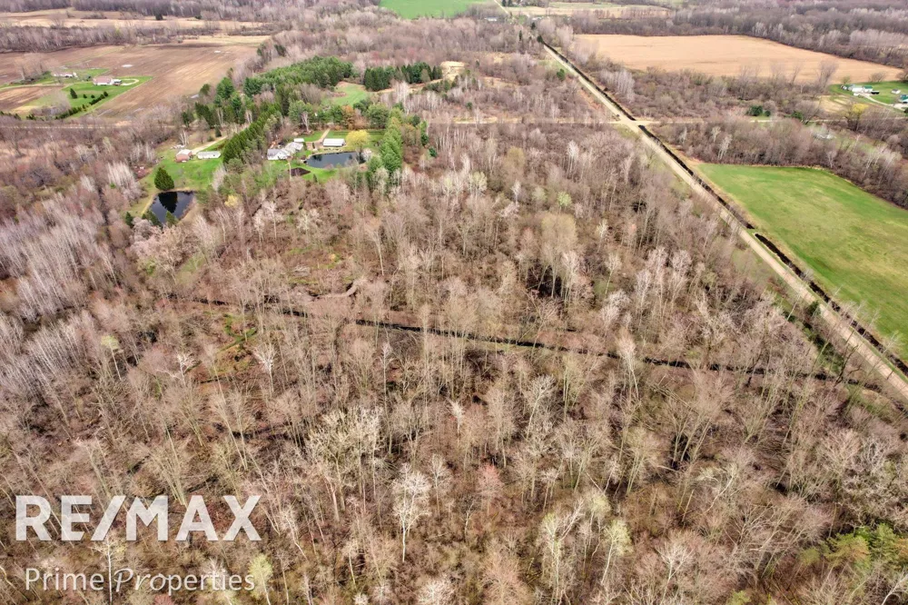 S Plain Road Wells Township, MI 48723