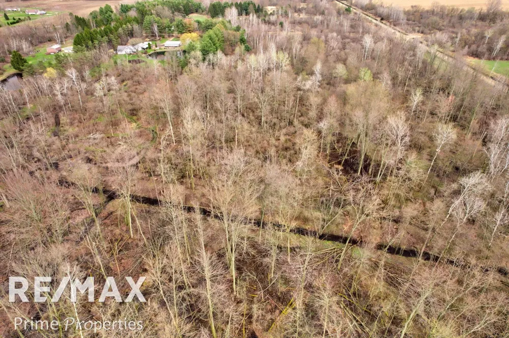 S Plain Road Wells Township, MI 48723