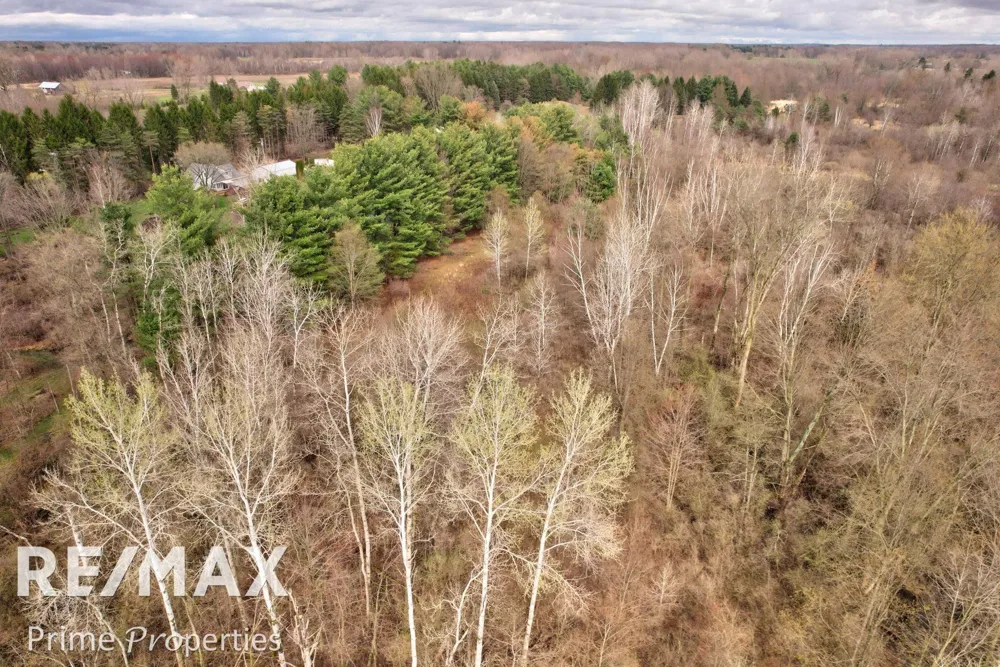 S Plain Road Wells Township, MI 48723