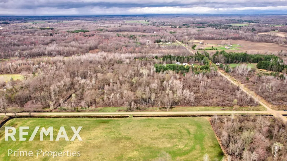 S Plain Road Wells Township, MI 48723