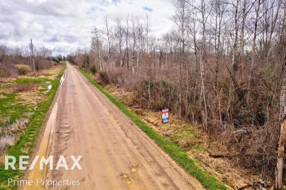 S Plain Road Wells Township, MI 48723