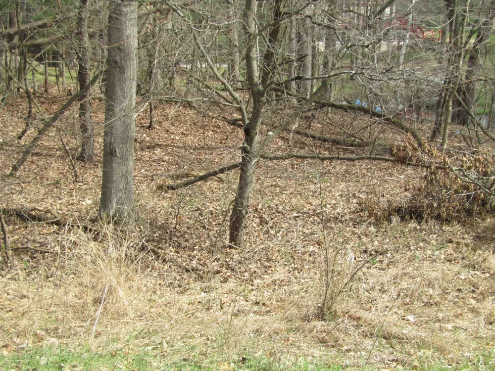 E Caribou Trail Churchill Township, MI 48661