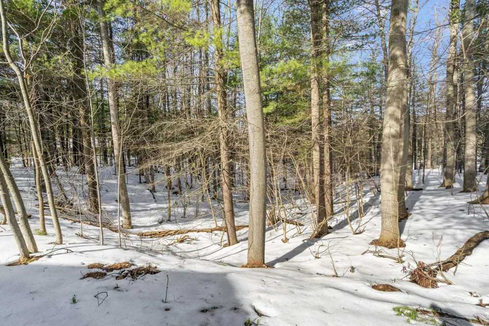 6475 Mission Ridge Peninsula Township, MI 49686