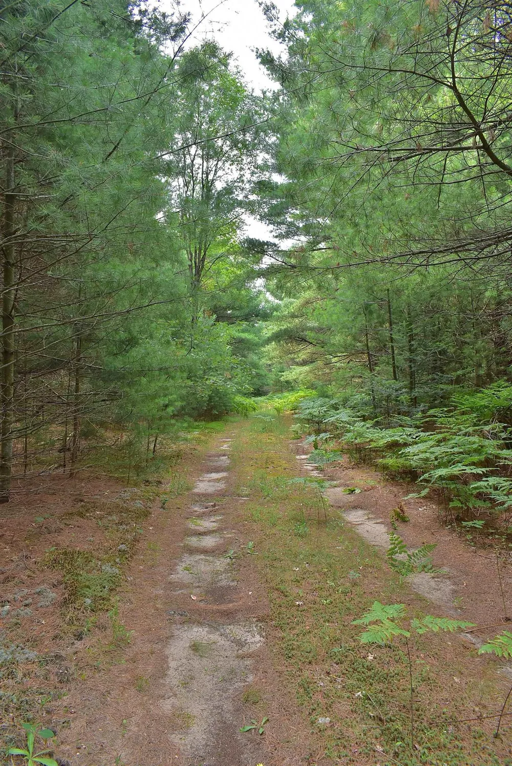 Roop Road Paradise Township, MI 49649