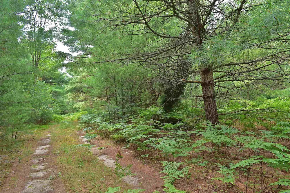 Roop Road Paradise Township, MI 49649