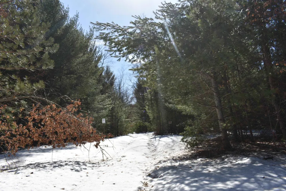 Roop Road Paradise Township, MI 49649