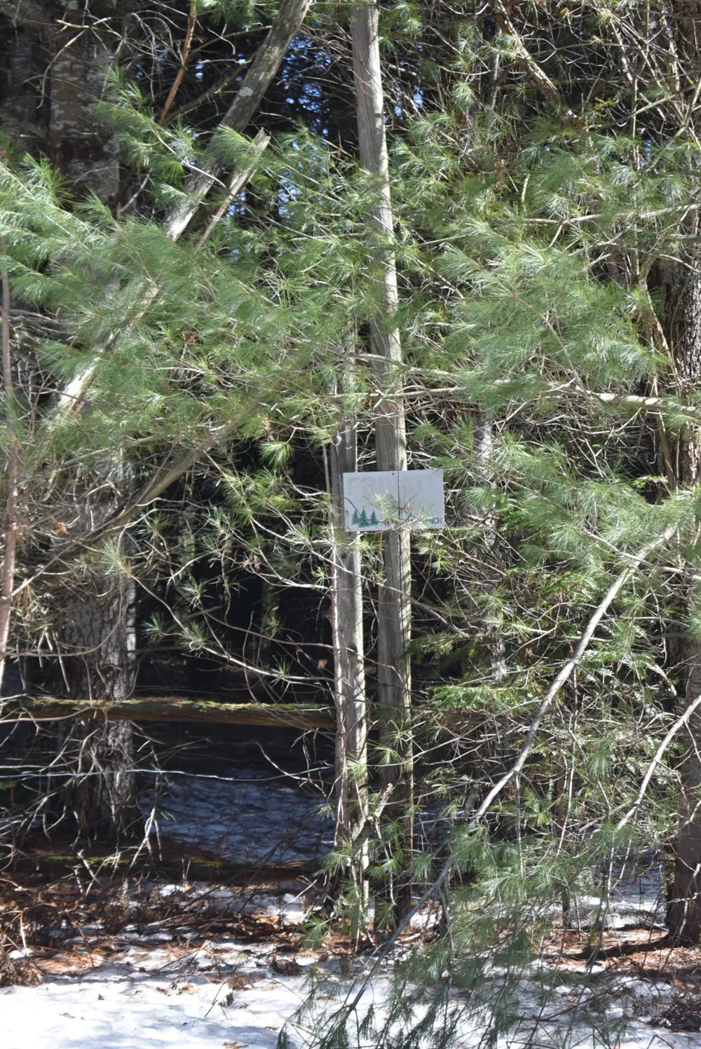 Roop Road Paradise Township, MI 49649
