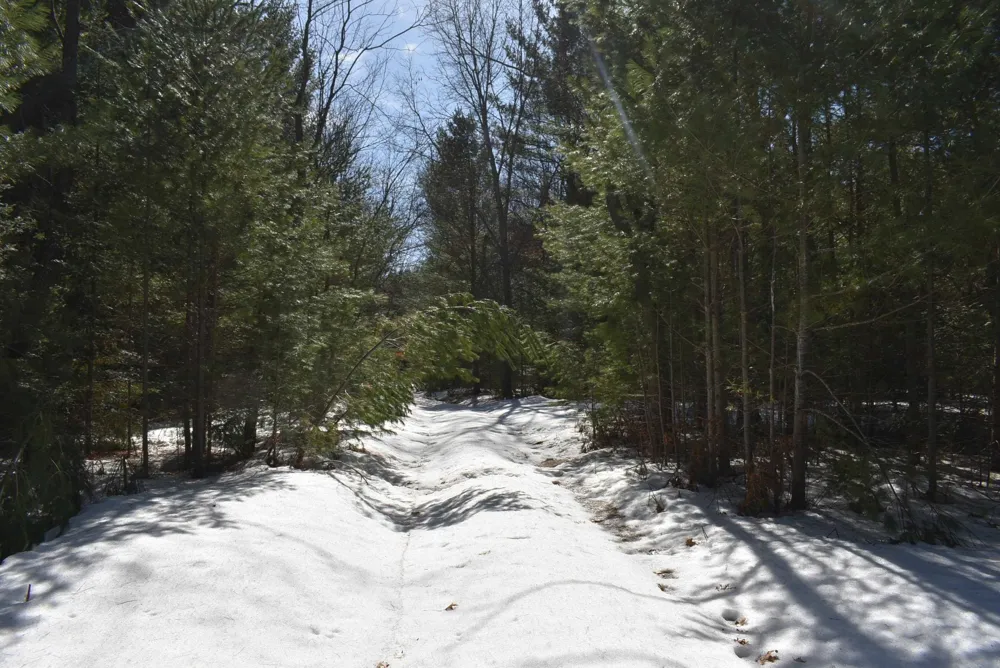 Roop Road Paradise Township, MI 49649