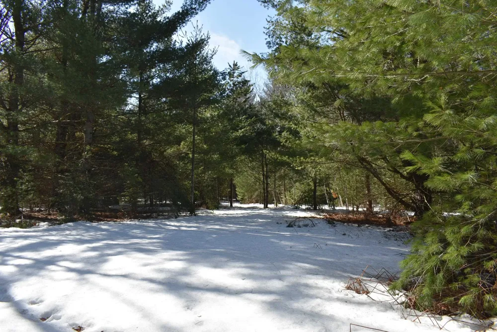 Roop Road Paradise Township, MI 49649