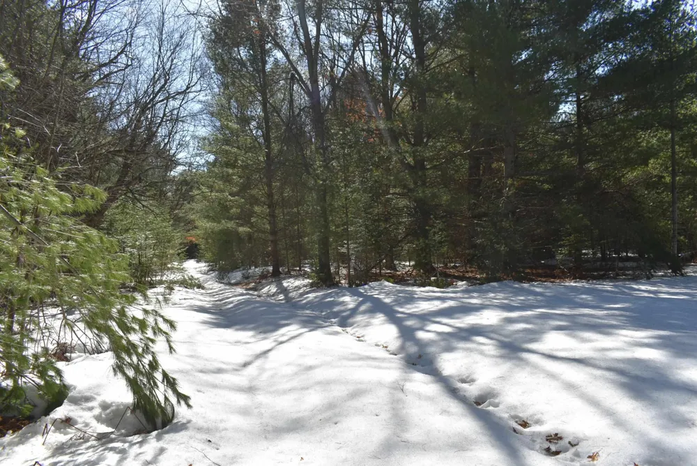Roop Road Paradise Township, MI 49649