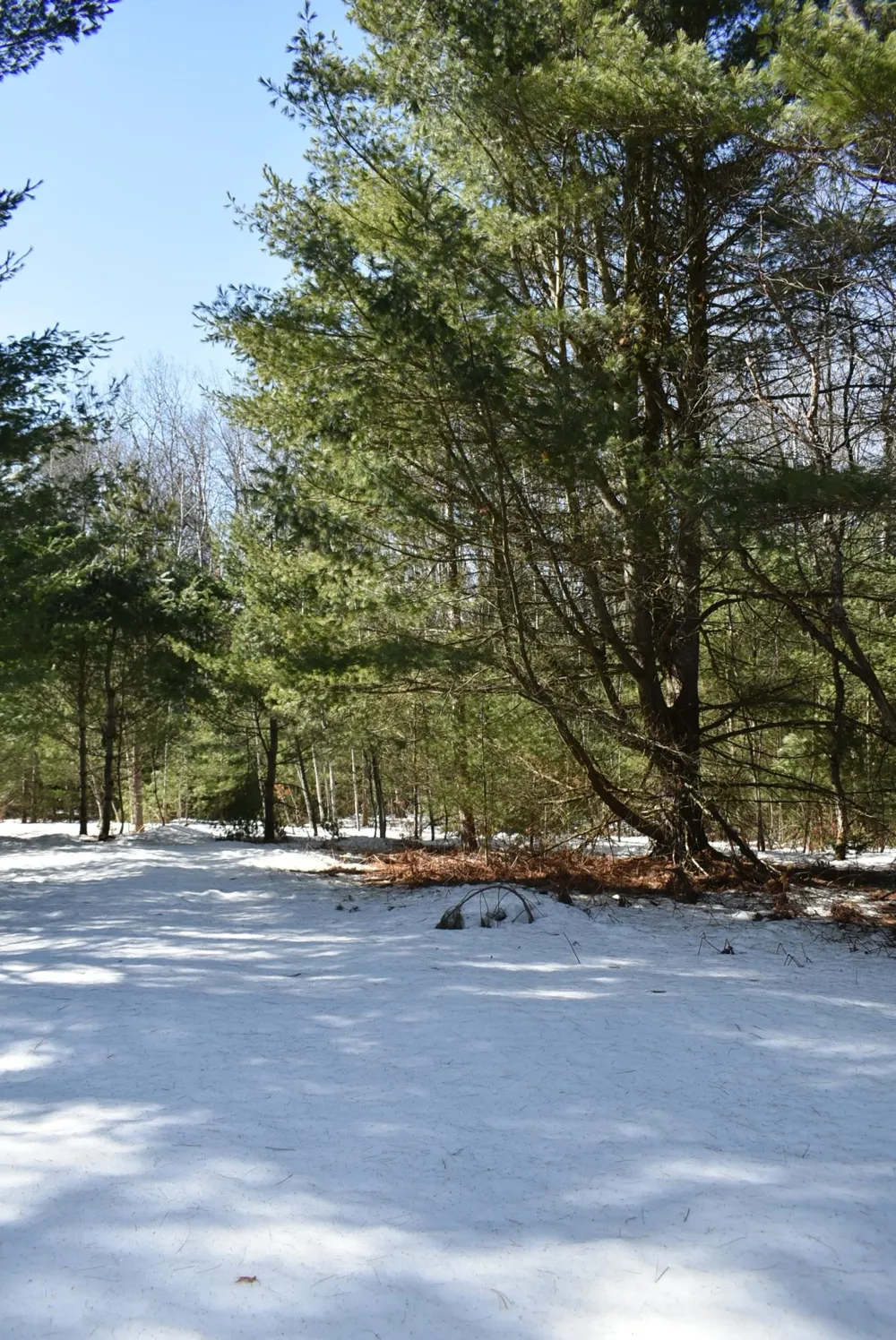 Roop Road Paradise Township, MI 49649