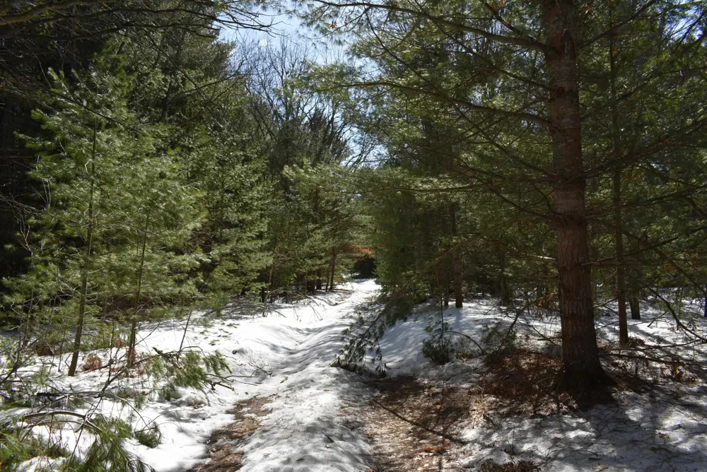 Roop Road Paradise Township, MI 49649