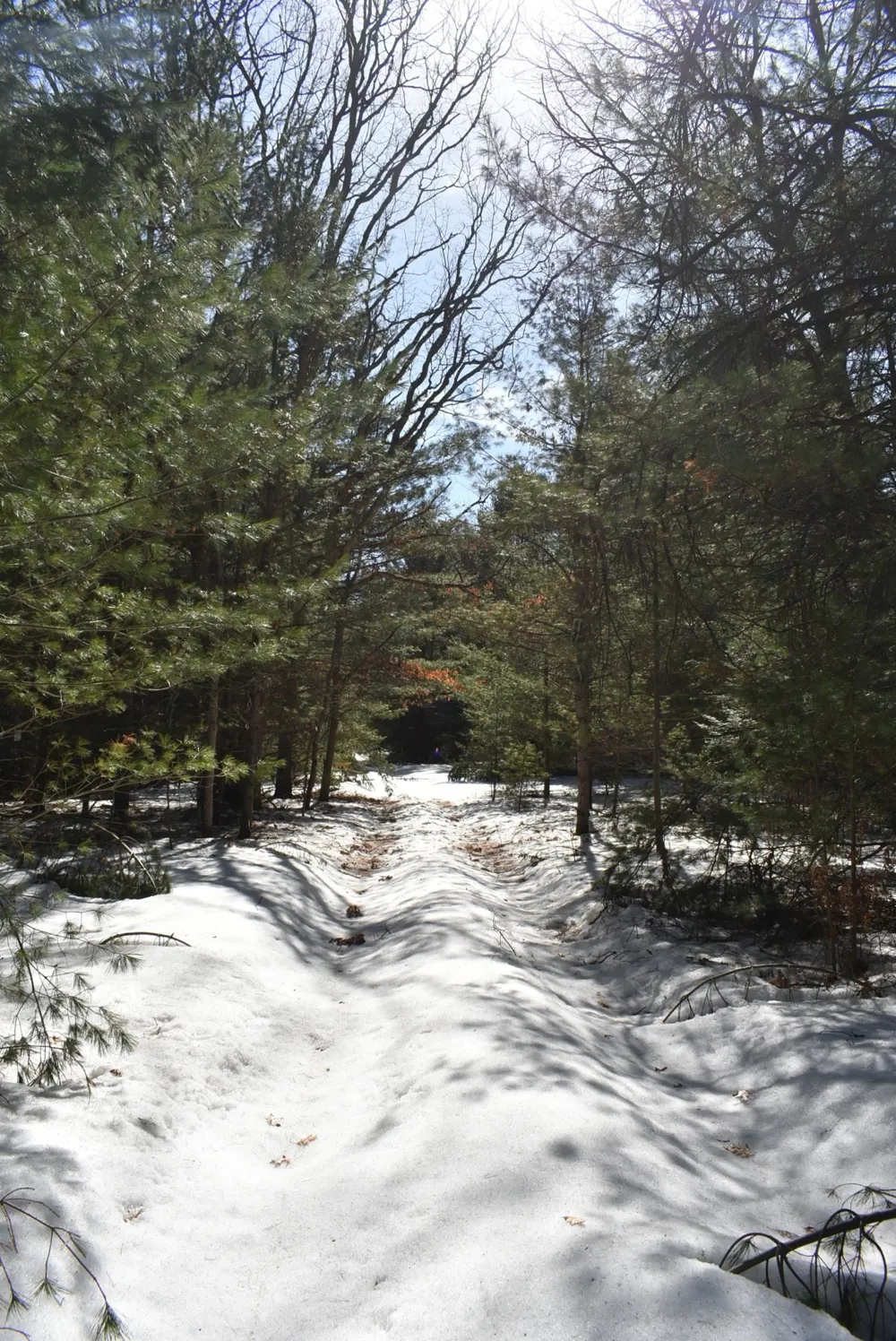Roop Road Paradise Township, MI 49649