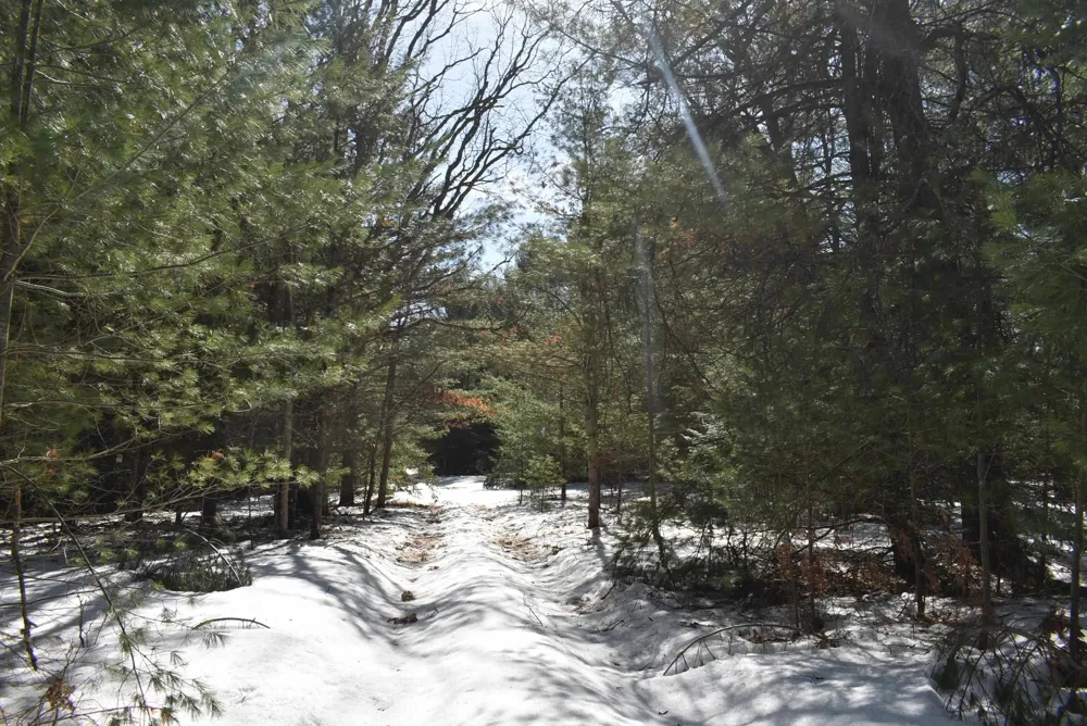Roop Road Paradise Township, MI 49649
