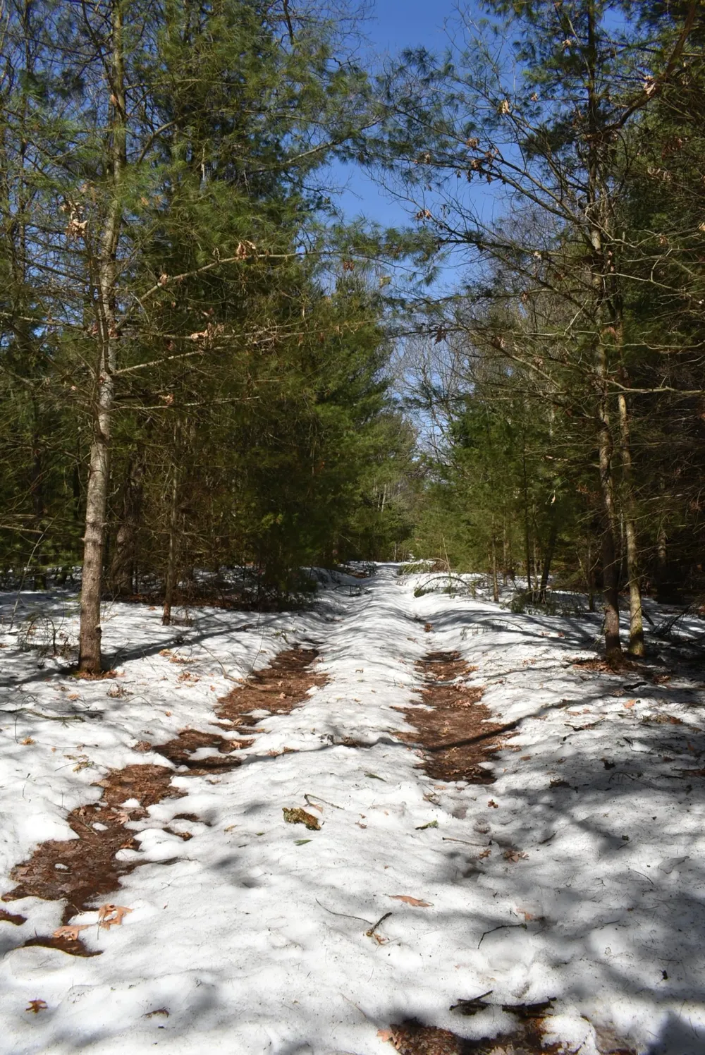 Roop Road Paradise Township, MI 49649