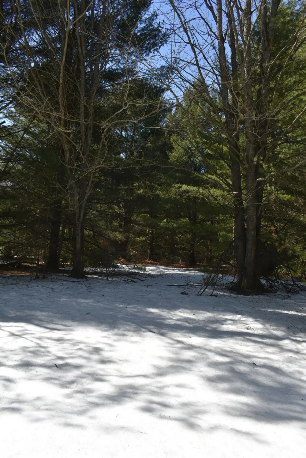 Roop Road Paradise Township, MI 49649