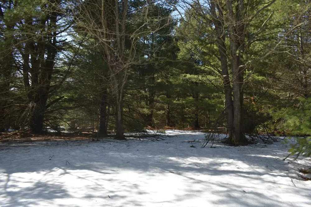 Roop Road Paradise Township, MI 49649