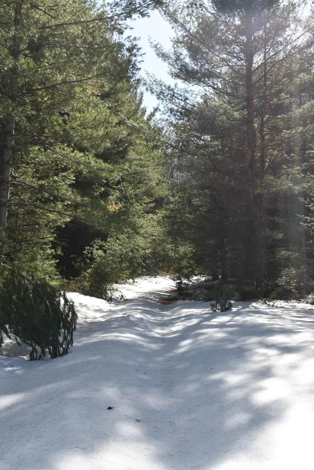 Roop Road Paradise Township, MI 49649