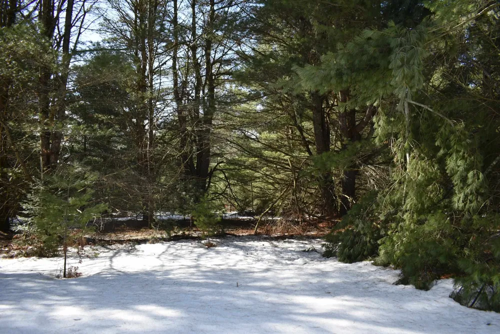 Roop Road Paradise Township, MI 49649