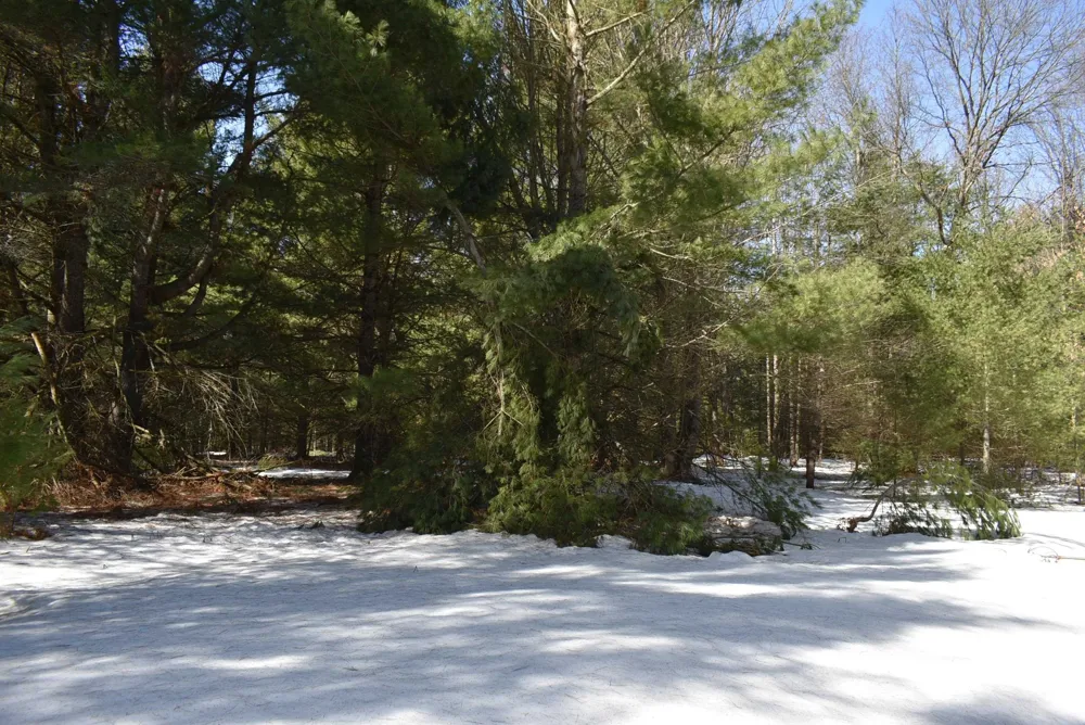 Roop Road Paradise Township, MI 49649