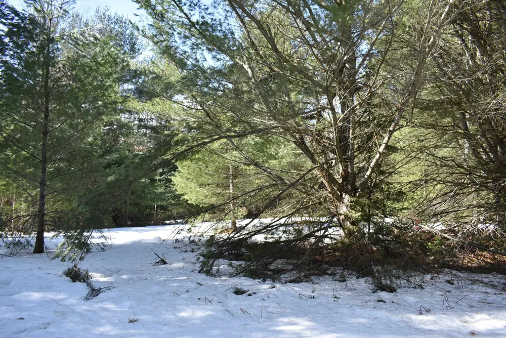 Roop Road Paradise Township, MI 49649