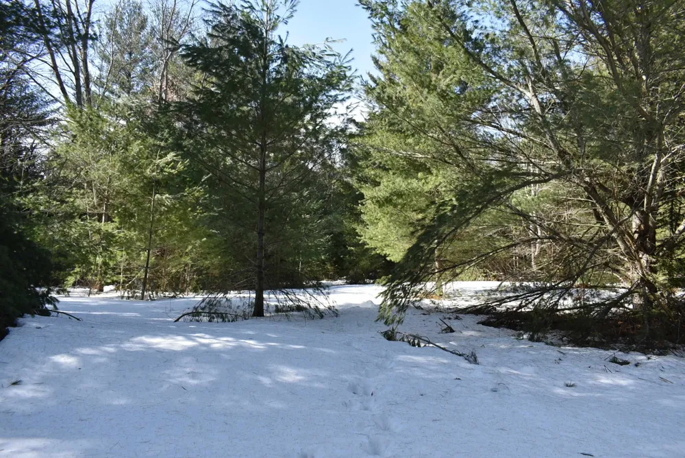 Roop Road Paradise Township, MI 49649