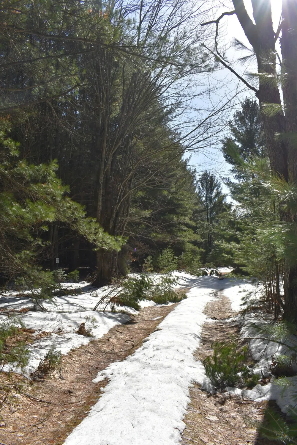 Roop Road Paradise Township, MI 49649