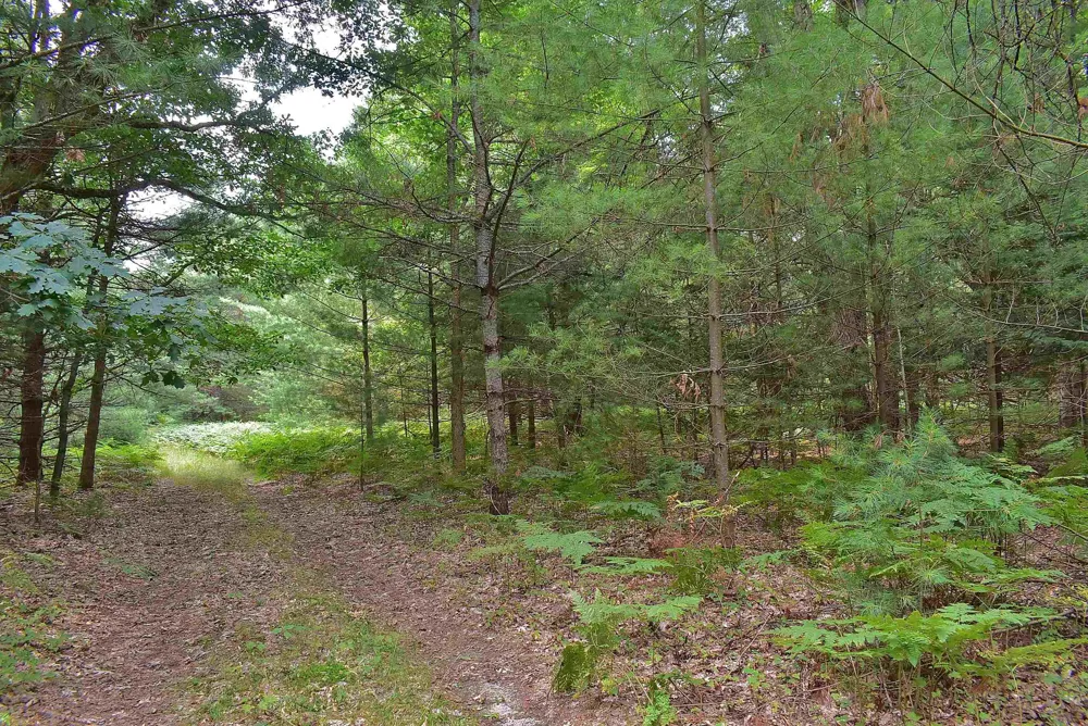 Roop Road Paradise Township, MI 49649