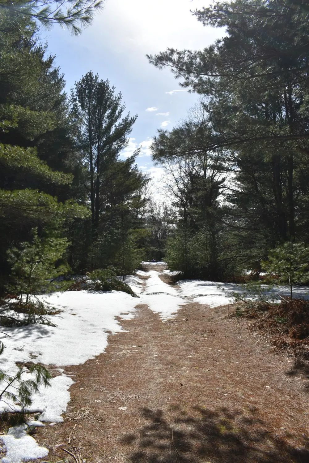 Roop Road Paradise Township, MI 49649