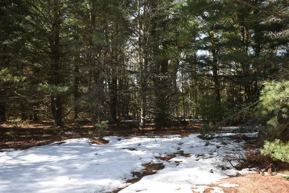 Roop Road Paradise Township, MI 49649